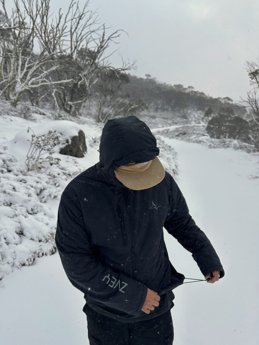 Z-Light Synthetic Insulated Jacket